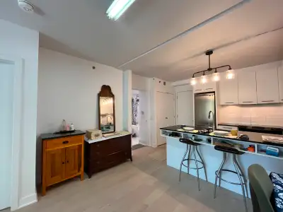 Furnished spacious condo 3 1/2 near Atwater for rent