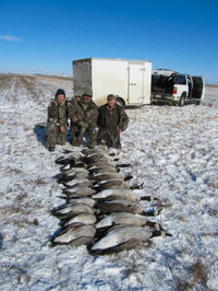 Saskatchewan Late Season Canada Goose Hunts