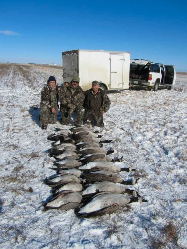 Saskatchewan Late Season Canada Goose Hunts in Fishing, Camping & Outdoors in City of Toronto