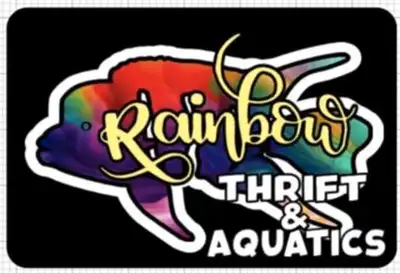 Come see us at rainbow thrift and aquatics. 6260 quinnpool road, for all you fish and thrift needs....