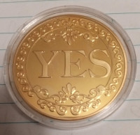 NEW YES / NO Coin, gold style, hours of fun.