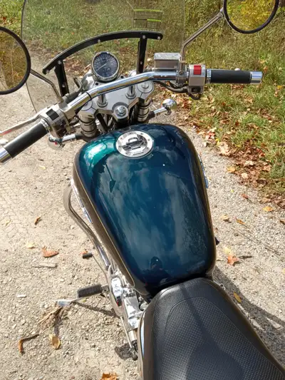 Blue/Green in excellent shape, well maintained, clean, stored indoors