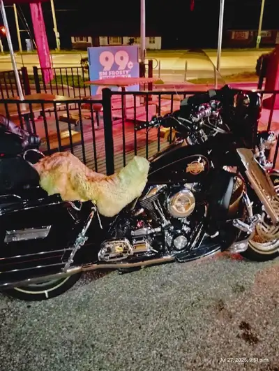 motorcycle Harley Davidson, View more