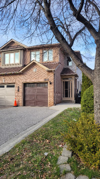 Newly Renovated 3 Bedroom House for Rent in Brampton