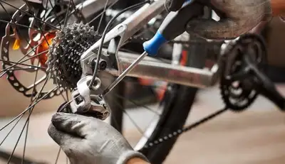 Basic tune-up $40 - chain lubrication - gears and brakes adjustments - tire check Other services - b...