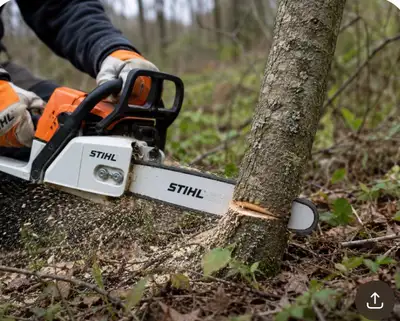 AFFORDABLE Tree Cutting, View more