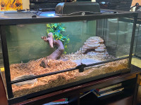 THRIVE 50 GALLON TERRARIUM $580 - Pickering 