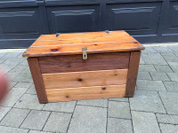 Rustic treasure box 