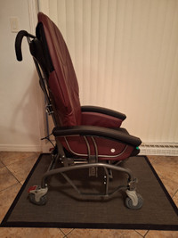 Fauteuil gériatrique de mobilité Dyn-Ergo Scoot Chair (18 pces)