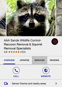 Wildlife Removal-Raccoon Removal-Squirrel Removal Specialists 