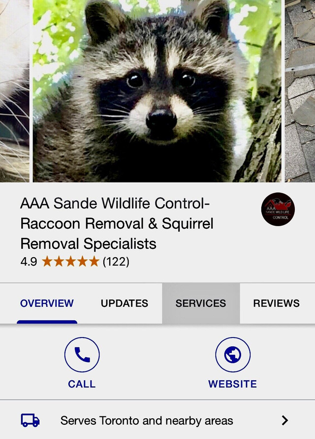 Wildlife Removal-Raccoon Removal-Squirrel Removal Specialists  in Other in Mississauga / Peel Region