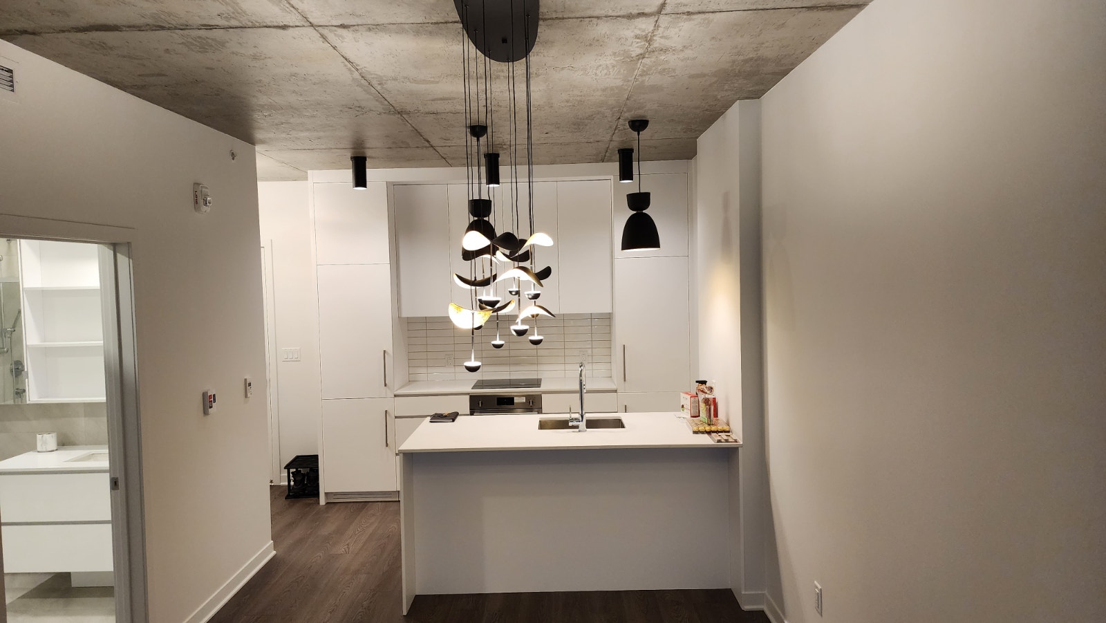 Superb 3 ½ condo, steps away from L'Assomption metro station — photo 3