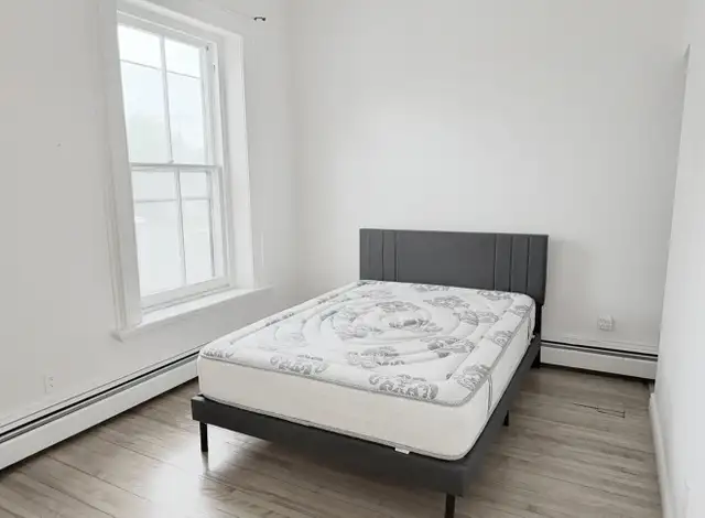 Gorgeous 1 Bdr Unit for Rent in  Downtown Charlottetown in Long Term Rentals in Charlottetown - Image 5