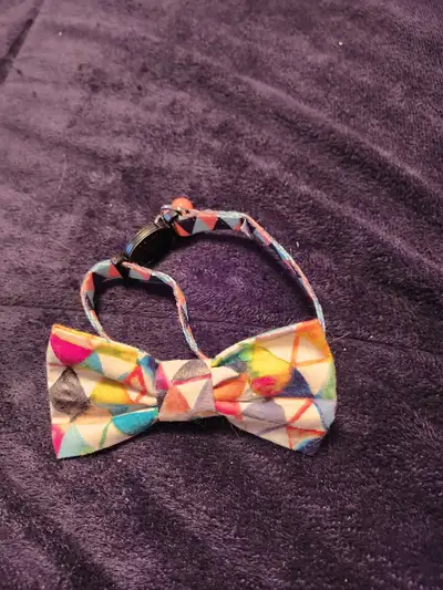 Brand New Cat /Kitten Bow Tie, View more