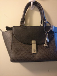 Guess and Nicole Lee Purse