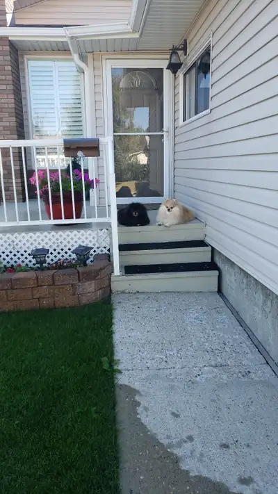 Looking for a clean, tidy and quiet roommate to share a house with other roommates. Private half bat...