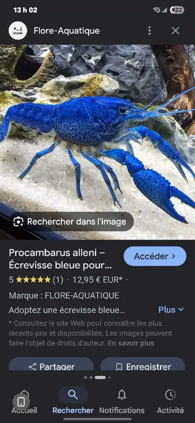 Bonjour,je recherche Écrevisses a donner contre bon soin Je suis de Bois des Filion J ai pas de voit...
