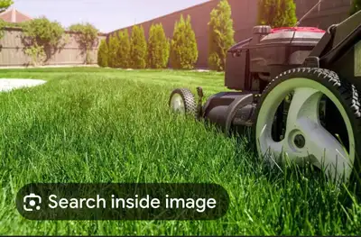 looking for a landscaper in Astorville ON, View more