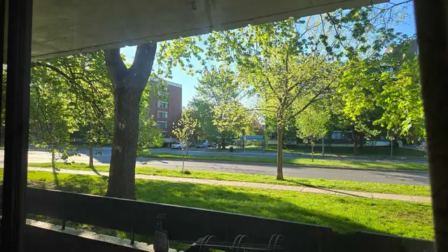 3 1/2 à louer Iles-des-Soeurs pour Juin ou Juillet in Long Term Rentals in City of Montréal - Image 9