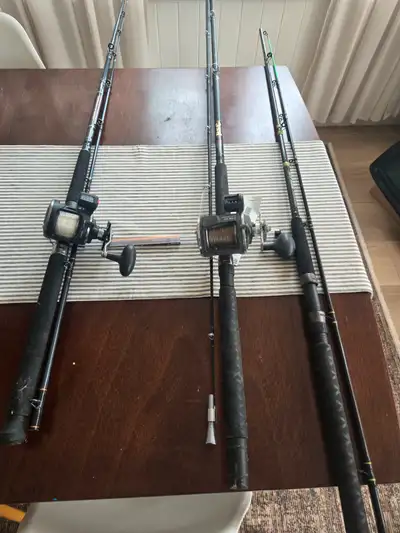 3 rods 2 reels. Penn reel mono and okuma reel steel line.