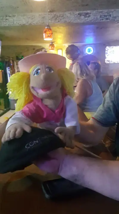 helping hand needed for general labor and yard work, View more