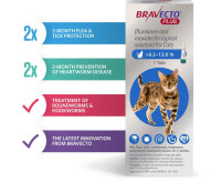 Bravecto Plus for Medium Cats - Flea, Tick, Worm Control