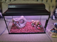 10 gallon fish tank with all accessories