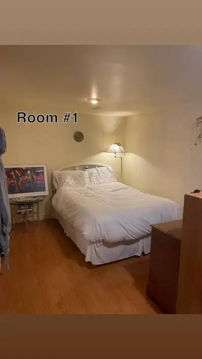 Female/NBs only, *must be queer/lgbtq friendly* Looking to fill vacant 2 basement rooms (check other...