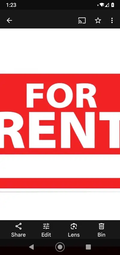bachelor for rent