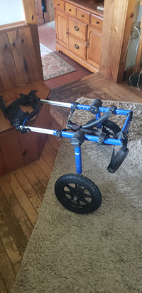 Canine Wheelchair