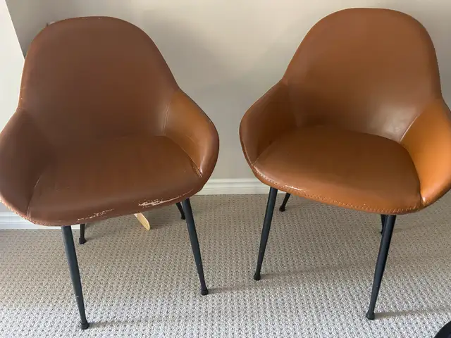 Dining Chairs (set of 4 for $50) - Pick up at Whitby Shores in Dining Tables & Sets in Oshawa / Durham Region - Image 3