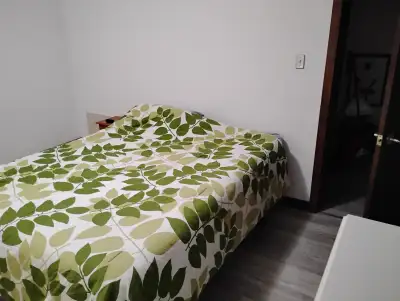 Room for Rent in Edmonton Riverbend Area