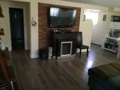 Dog friendly/All-inclusive - lower level 2 level apartment.