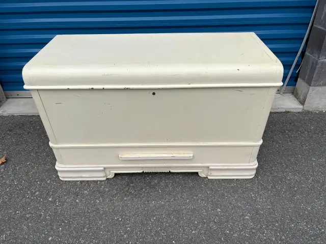 Cedar Trunk in Dressers & Wardrobes in Peterborough - Image 9