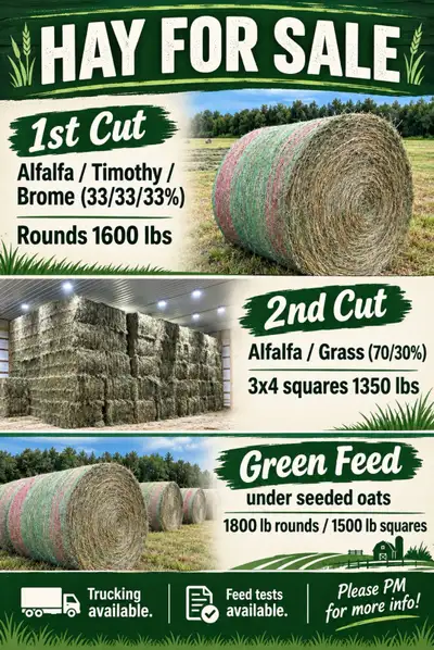 Hay for sale -1st cut Alfalfa / Timothy / Brome (33/33/33%) Rounds 1600 lbs -2nd cut Alfalfa / Grass...