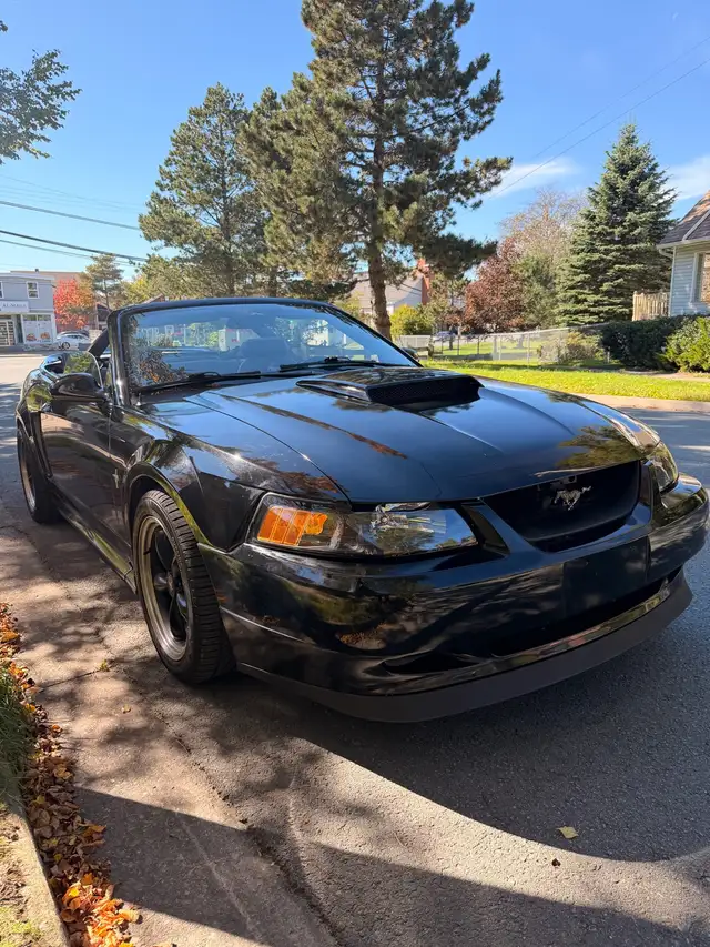 2002 Mustang manual601862351137034243