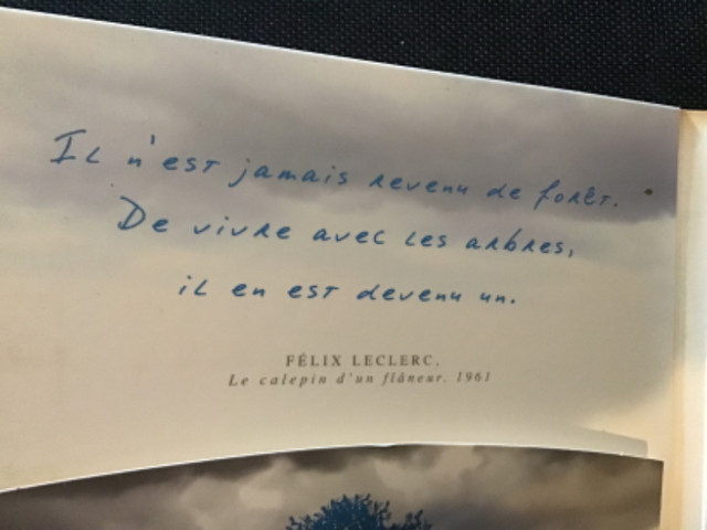 CD Album hommage à Félix LeClerc (c)2008 TACCA musique dans CD, DVD et Blu-ray  à Lévis - Image 4