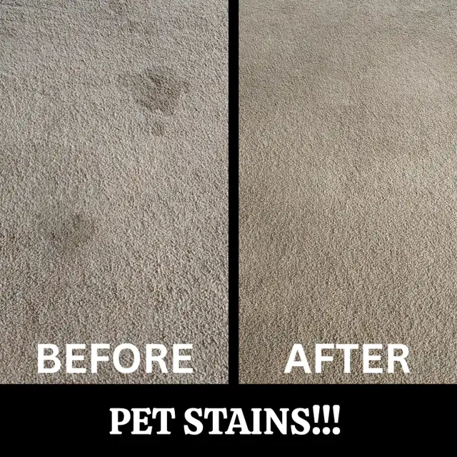 Carpet Cleaning Belleville in Cleaners & Cleaning in Belleville - Image 5