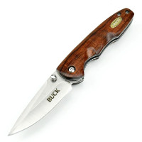 Collectable Buck pocket knife