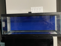FS: Brand New 20 gallon Long Aquar with glass tops