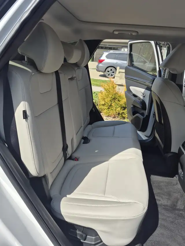 Premium Car Detailing 518967619466055684