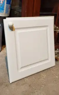 6 Kitchen Cabinet/Pantry Doors/Access Panels.  (Only 3 left now)