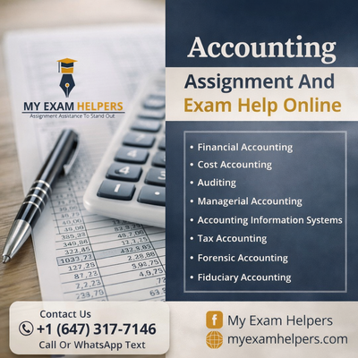 DROWNING in Accounting, Finance or ECONOMICS?Let me Handle it, View more