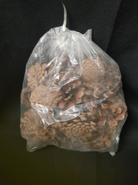 Assorted Bag of Pinecones