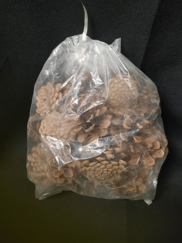 Assorted Bag of Pinecones in Hobbies & Crafts in Woodstock