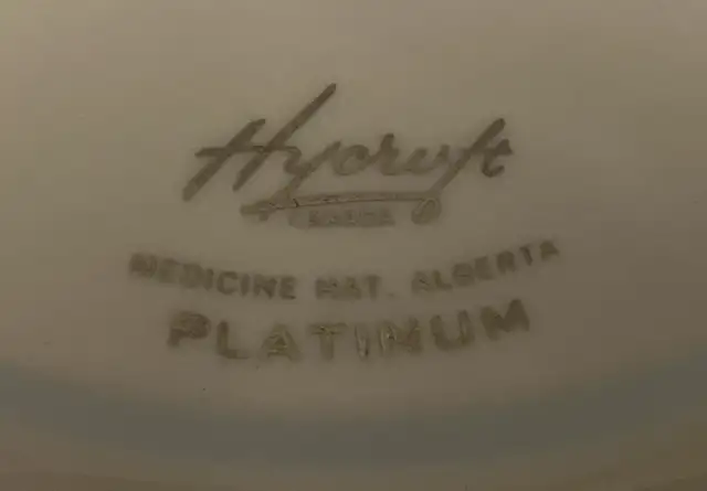 Vintage Hycroft Made in Canada China Set. in Arts & Collectibles in Moose Jaw - Image 7