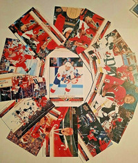 Cartes de hockey Tim Hortons Team Canada Canvas Set complet