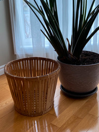 Decorative Bamboo / Wicker Plant Basket