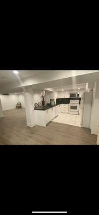 Fully Renovated Basement for Rent 