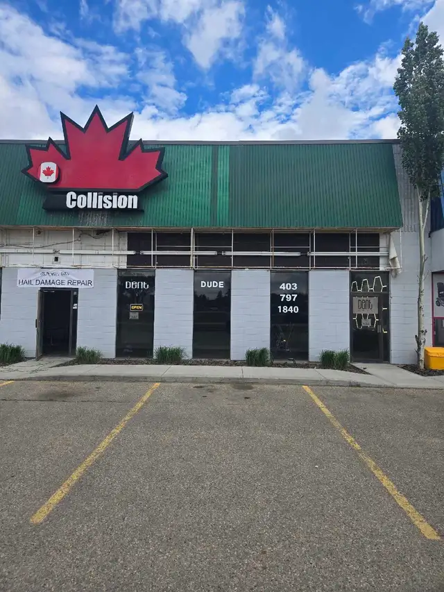 HAIL DAMAGE REPAIR- DENT DUDE in Repairs & Maintenance in Red Deer - Image 2